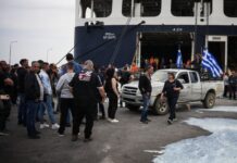 Λέσβος: Κτηνοτρόφοι σε απόγνωση – «Μας αφανίζουν μετά τα ζώα μας»