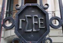 Εργατική Πρωτοβουλία: Νέα Δύναμη Εμφανίζεται στη ΓΣΕΕ