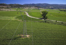 Δόμηση σε Αγροτεμάχια < 4 στρ.: Ο Οδηγός για Νέες Άδειες