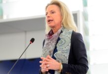 Ελίζα Βόζεμπεργκ: Υποψήφια για το βραβείο «Ευρωβουλευτής της Χρονιάς» στον Τουρισμό