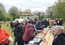 Γιορτή Σπόρων Δράμας: Ανταλλαγή ζωής, γνώσης και επανασύνδεσης με τη φύση