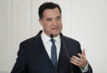 Γεωργιάδης: Διερεύνηση για «τραγική συκοφαντία» – Η Μυρτώ διασωληνώθηκε στην Κεφαλονιά