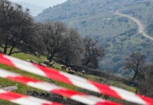 Αφθώδης Πυρετός στη Λέσβο: Αυτοψία του Υφυπουργού Αγροτικής Ανάπτυξης