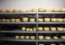 Λέσβος: Τυροκόμοι σε απόγνωση – «Απελευθερώστε το γάλα, αλλιώς θα κλείσουμε»