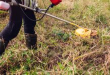 Καθαρισμός Οικοπέδων: Νέες Αλλαγές & Υποχρεώσεις Πολιτών για την Πυροπροστασία