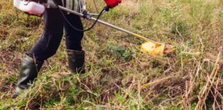 Καθαρισμός Οικοπέδων: Νέες Αλλαγές & Υποχρεώσεις Πολιτών για την Πυροπροστασία