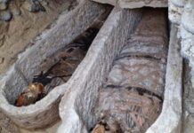 Αρχαία Ελλάδα στην Αίγυπτο: Ηλιάδα μούμιας αποκαλύπτει πολιτιστικούς δεσμούς