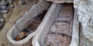 Αρχαία Ελλάδα στην Αίγυπτο: Ηλιάδα μούμιας αποκαλύπτει πολιτιστικούς δεσμούς