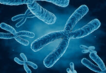 Επιστημονική Επανάσταση: Νέα Γονιδιακή Θεραπεία για το Σύνδρομο Down