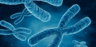 Επιστημονική Επανάσταση: Νέα Γονιδιακή Θεραπεία για το Σύνδρομο Down