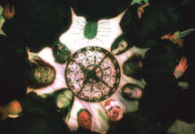 Metal: Η Επιστροφή της Μάσκας και η Εξέλιξη της Σκηνικής Παρουσίας