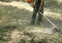 Πυροπροστασία: Νέα ΚΥΑ για καθαρισμό οικοπέδων – Τι προβλέπεται και τα πρόστιμα