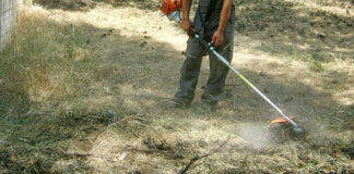 Πυροπροστασία: Νέα ΚΥΑ για καθαρισμό οικοπέδων – Τι προβλέπεται και τα πρόστιμα