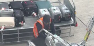 Εργαζόμενος «έλιωσε» το ίντερνετ με την αξιολάτρευτη υποδοχή κατοικίδιων από τον χώρο αποσκευών αεροπλάνου στο Ελευθέριος Βενιζέλος