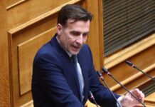 Βουλευτής Δημοκρατών προσπάθησε να «σπάσει» μπλόκο Αττικής Οδού για Εμίρη