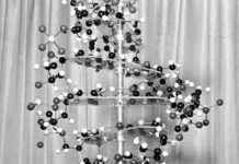 DNA: Η διπλή έλικα, η επιστήμονας και μια σπουδαία ανακάλυψη