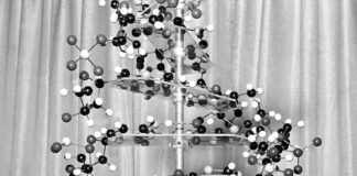DNA: Η διπλή έλικα, η επιστήμονας και μια σπουδαία ανακάλυψη