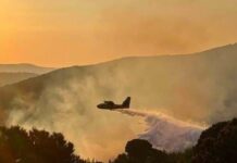 Σκιάθος: Άμεση επέμβαση απέτρεψε την καταστροφή του Πευκοδάσους