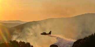 Σκιάθος: Άμεση επέμβαση απέτρεψε την καταστροφή του Πευκοδάσους