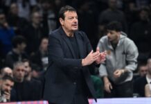 Αταμάν: "Δίνουμε μάχη για το Final Four – Έτοιμοι για Βαλένθια"