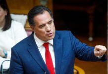 Γεωργιάδης για Μυρτώ: Δίωξη για ψευδείς καταγγελίες, υπεράσπιση γιατρών