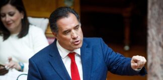 Γεωργιάδης για Μυρτώ: Δίωξη για ψευδείς καταγγελίες, υπεράσπιση γιατρών