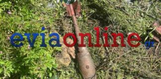 Εύβοια: Βρέθηκαν Στρατιωτικές Ρουκέτες σε Οικόπεδο – Άμεση Κινητοποίηση Αρχών
