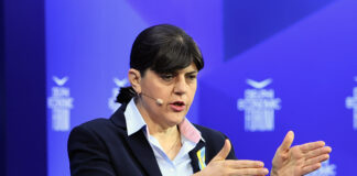 Νέα Αριστερά για ΟΠΕΚΕΠΕ: Δεν έχουμε να κάνουμε με ρουσφέτια, αλλά με βαρύτατα ποινικά αδικήματα