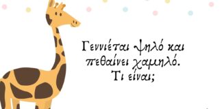 Παιχνίδι μυαλού: 20 διασκεδαστικοί γρίφοι για παιδιά που ξεσηκώνουν!