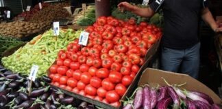 Λαϊκές Αγορές: Ψηφιοποίηση, Νέες Άδειες & Εκσυγχρονισμός Λειτουργίας