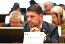 Χαρδαλιάς: Η Πολιτική Προστασία κρίσιμη για την ευρωπαϊκή ασφάλεια