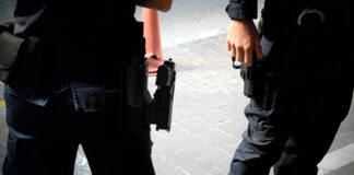 Ηγουμενίτσα: Μισός τόνος υδροπονικής κάνναβης κατασχέθηκε – Συνελήφθη οδηγός νταλίκας