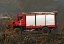 Καλαμάτα: Μεγάλη φωτιά σε επιχείρηση ξυλείας – Επί τόπου η Πυροσβεστική