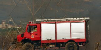Καλαμάτα: Μεγάλη φωτιά σε επιχείρηση ξυλείας – Επί τόπου η Πυροσβεστική