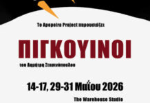 «Πιγκουΐνοι»: Νέα θεατρική παράσταση του Δημήτρη Στασινόπουλου στις Βρυξέλλες