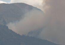 Φωτιά στα Καλύβια: Έκαψε περίπου 25 στρέμματα ελιές – Υπό μερικό έλεγχο