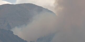 Φωτιά στα Καλύβια: Έκαψε περίπου 25 στρέμματα ελιές – Υπό μερικό έλεγχο
