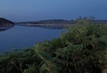 Σφάλμα ή Επένδυση; Το Σκοτεινό Παιχνίδι Του Κούσνερ Στην Αλβανία