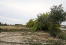 Παράταση προθεσμίας καθαρισμού οικοπέδων: Νέα ημερομηνία ανακοινώθηκε