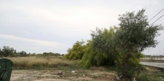 Παράταση προθεσμίας καθαρισμού οικοπέδων: Νέα ημερομηνία ανακοινώθηκε