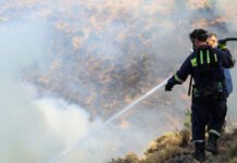Φωτιά στο Σαρωνικό: Άμεση Σύλληψη από την Πυροσβεστική – Ξεπέρασε τον Κίνδυνο