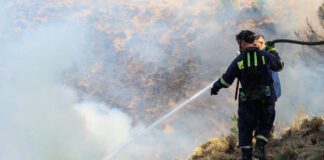 Φωτιά στο Σαρωνικό: Άμεση Σύλληψη από την Πυροσβεστική – Ξεπέρασε τον Κίνδυνο