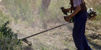 Καθαρισμός οικοπέδων: Λήξη προθεσμίας, όχι τέλος στην πρόληψη πυρκαγιών