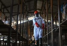 Κονγκό: Συναγερμός για Έμπολα – Ξεπέρασαν τα 1.000 κρούσματα, 254 νεκροί