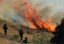 Τουρνάς: 85% των πυρκαγιών από αμέλεια – Προετοιμασία για το χειρότερο σενάριο