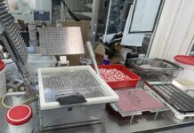 Φαρμακοποιός με εργαστήριο ντόπινγκ: Ελεύθερος με εγγύηση €50.000