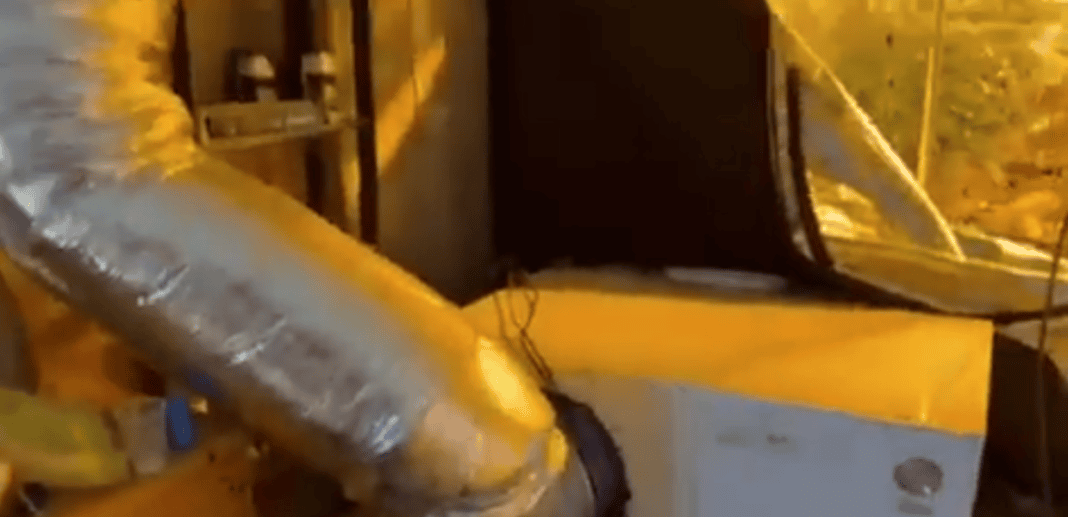 0589055c-1517-4ed1-a4b2-c1818c8140e0.png