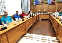 Κρητικά Κηπευτικά: Σχέδιο Σωτηρίας & Ανάπτυξης στην Περιφέρεια