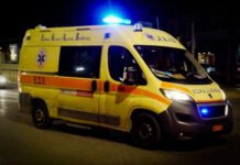 Ζάκυνθος: Σφοδρή σύγκρουση "γουρούνας" με τουριστικό λεωφορείο, νεαρός τουρίστας διασωληνωμένος