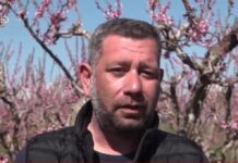 Λαρισαίος αγρότης χαρίζει δωρεάν τα νεκταρίνια του αντί να τα δώσει στους μεσάζοντες: «Δεν θα γίνω ο λαθρέμπορος της δικής μου σοδειάς» -kalimera-ellada.gr